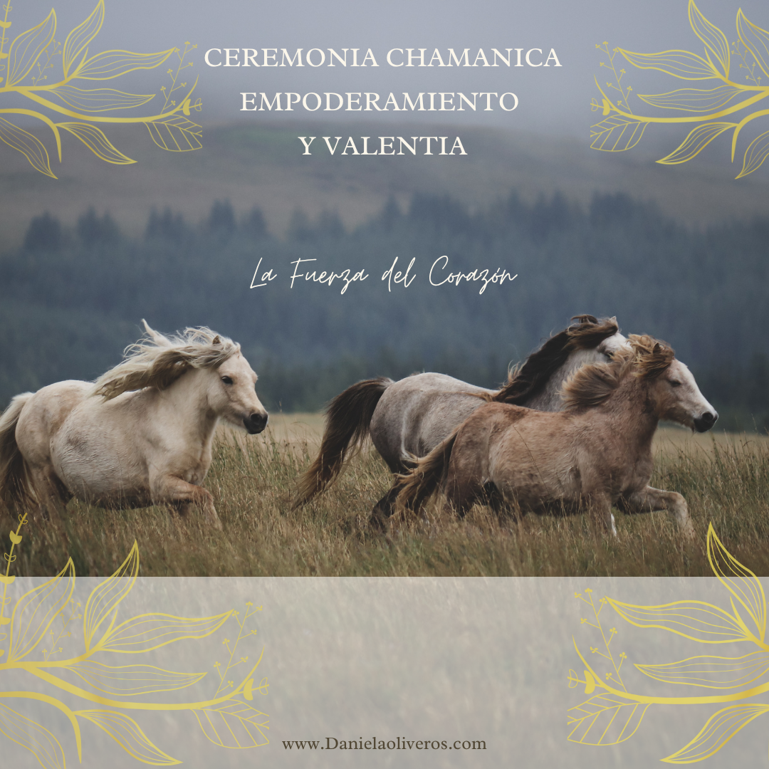 28 Nov - "El Pulso del Espíritu - Ceremonia Chamánica de Enraizamiento y Poder Personal"