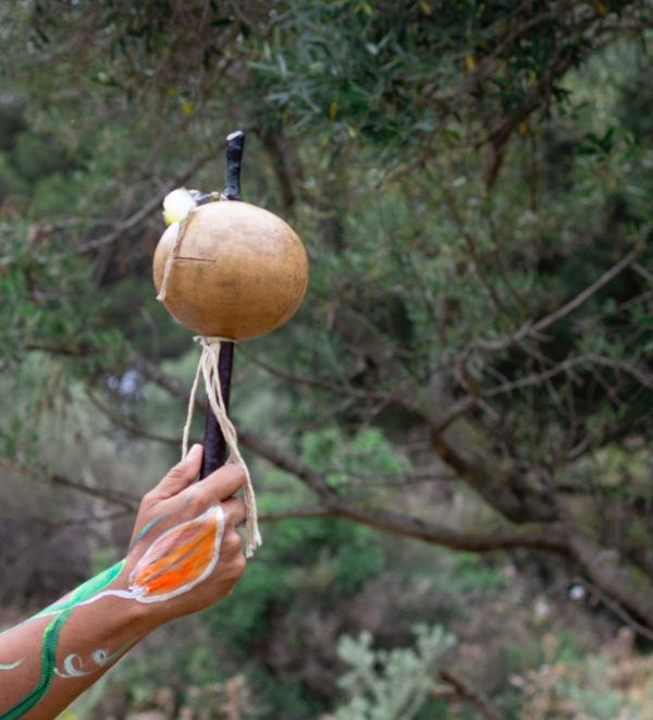 1:1 Private Ancestral Shamanic Ceremony